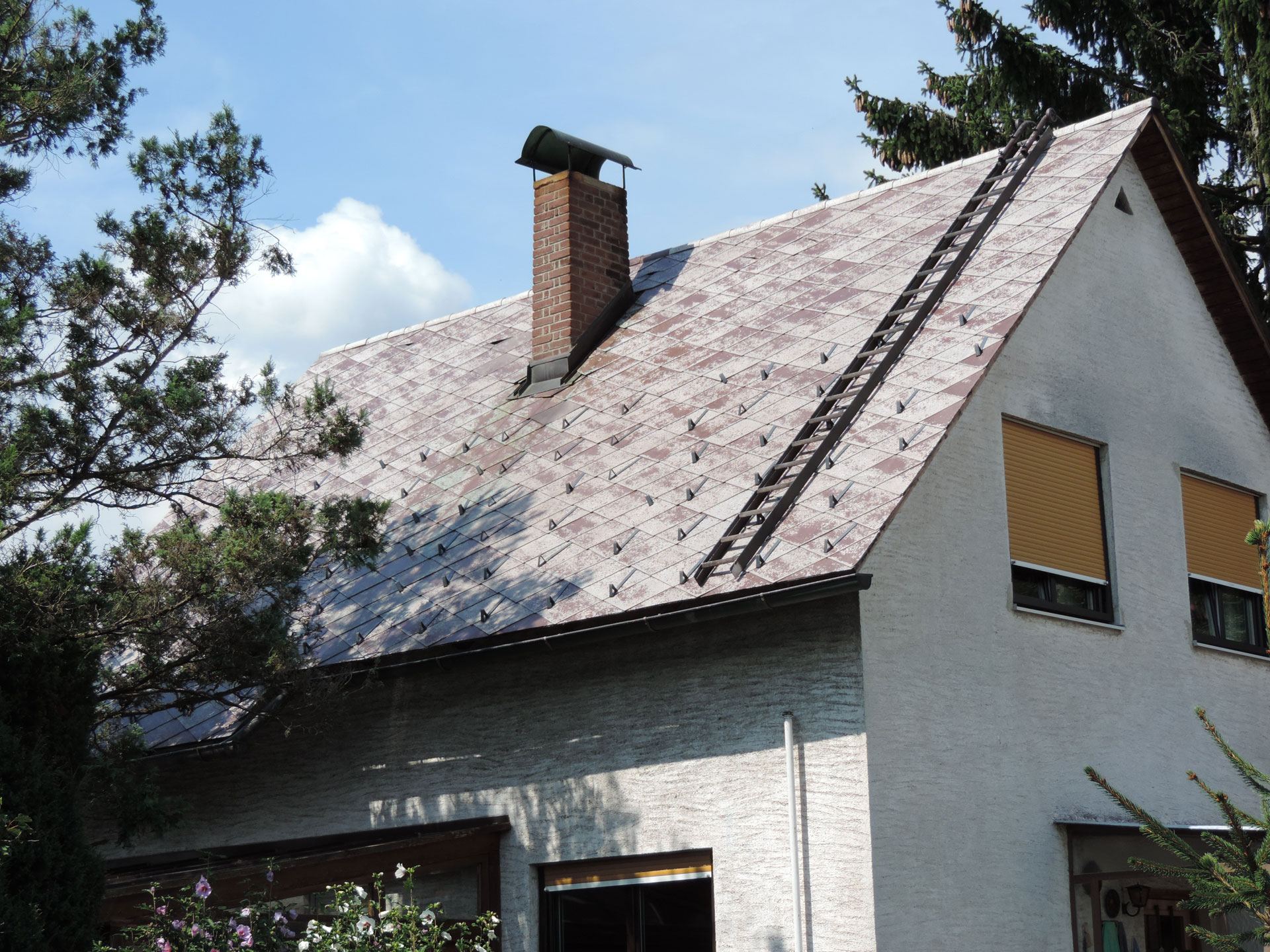 Dachreinigung Referenz 6 &ndash; Vorher